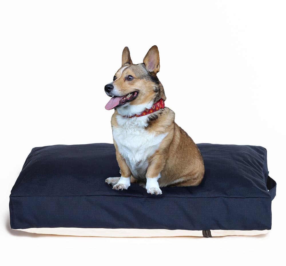 Pet Line Jastuk za pse Četvrtasti - Vodootporni Veličina L 13-3