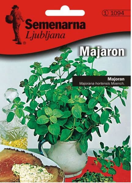 Seme za začin 5 kesica - Majoran - Majorana hortensis Moench. 1094