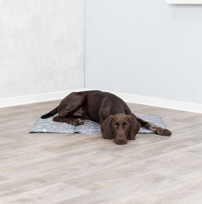 Meka prostirka za hlađenje za pse 65x50cm Trixie 28786