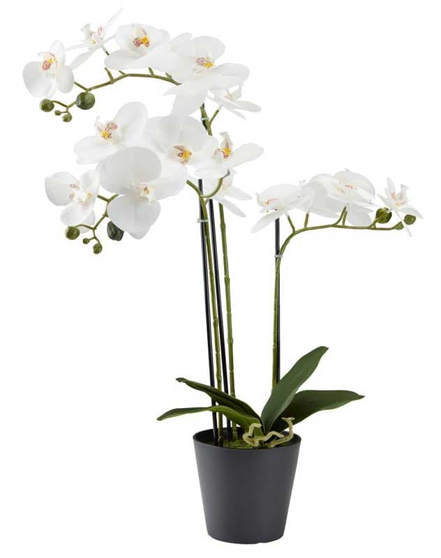 Veštačka biljka Orhideja 62cm