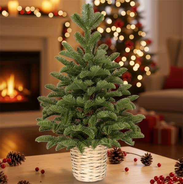 Novogodisnja jelka u saksiji 60cm 250310