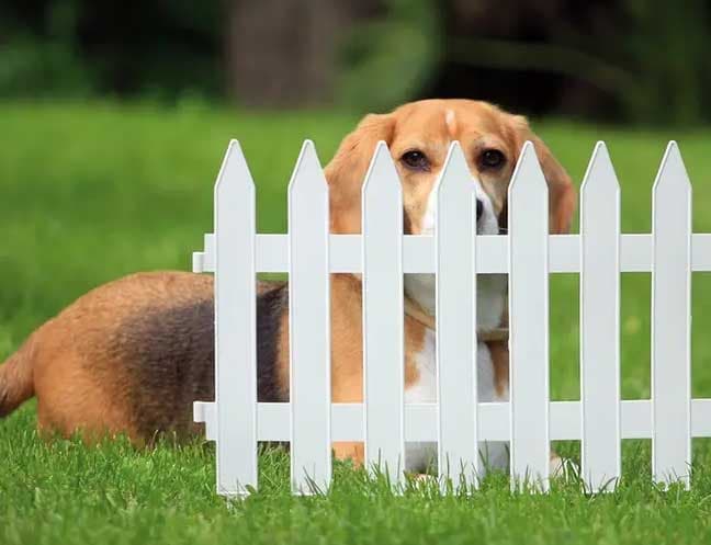 Prosperplast Modularna baštenska ograda 3.2m V35cm Bela