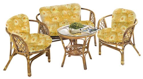 Bambus Ratan Garnitura Moć Cveća