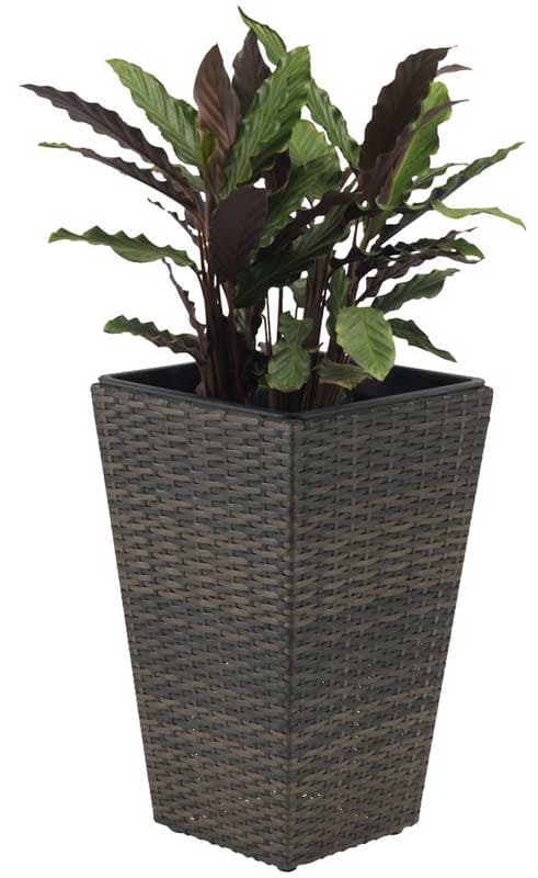 Visoka saksija od ratana Braon