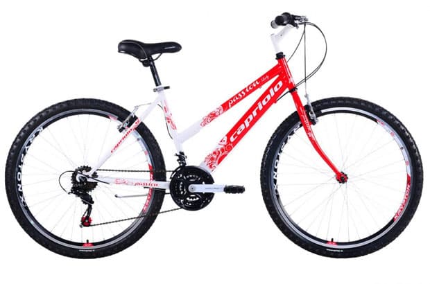 Mountain Bike MTB PASSION L 26/18HT 912380-17