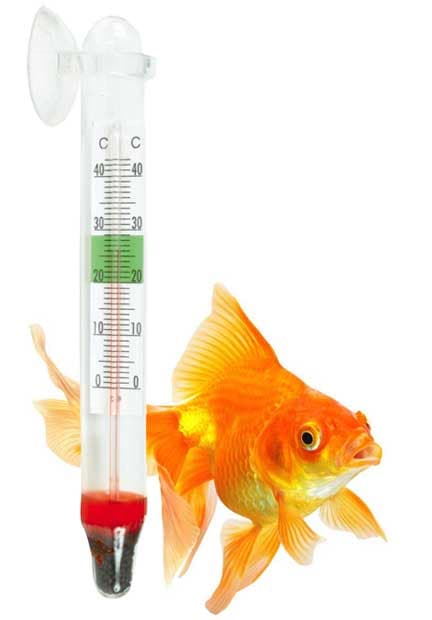 Trixie Analogni termometar za akvarijum sa držačem 8605