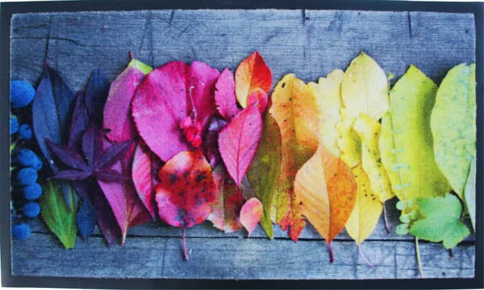 Ekol otirač Charleston 5 40x60