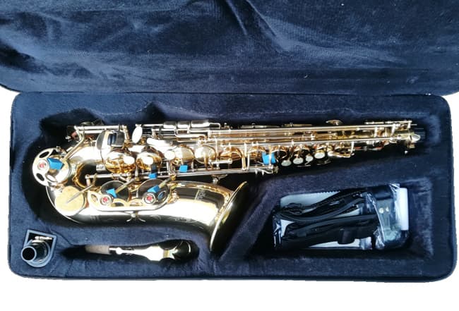 Moller Alt Saksofon OP.M. AL-802L Gold 409