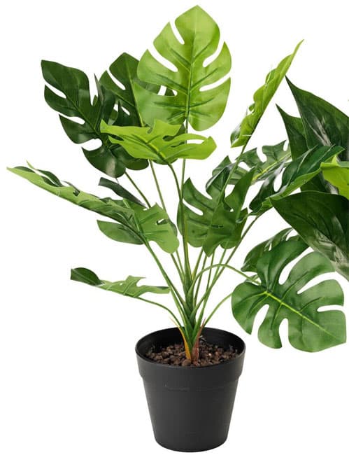 Veštačka biljka Filadendron 30cm
