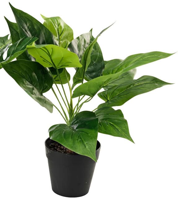 Veštačka biljka Adam 30cm