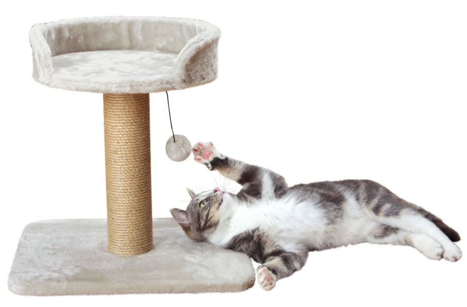 Trixie Grebalica za mačke sa lopticom i ležaljkom Mica 44418