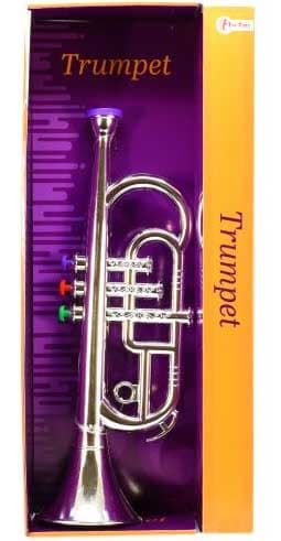 Toi-Toys Dečija Truba 36587 srebrne boje
