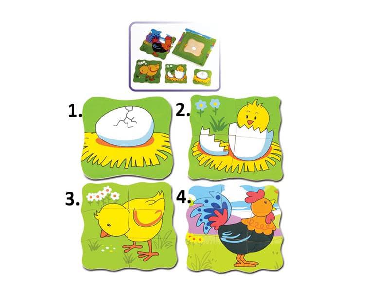 Kocke koje prikazuju proces rađanja pileta 50113