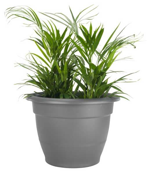 Saksija Grasja prečnik 54cm antracit siva