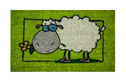 Otirač Fantasia ST-22 40 x 60 cm