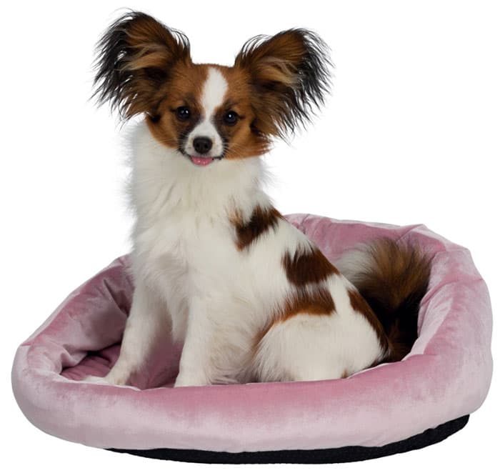 Trixie Krevet za psa Scarlet pink 36977