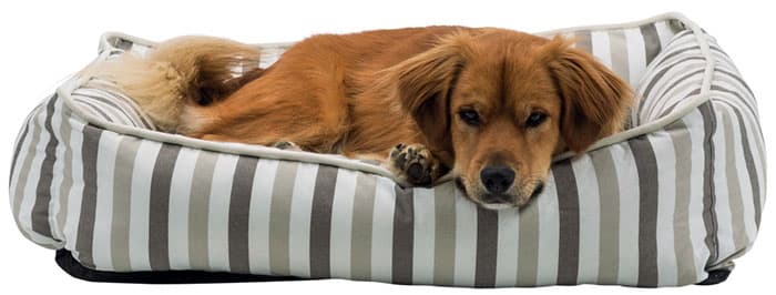 Trixie Krevet za pse Kimbo 80cm 38205