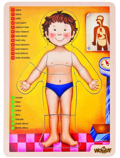 WOODY Slagalica LJUDSKO TELO - Puzzle Human Body 90332 - Engleska verzija