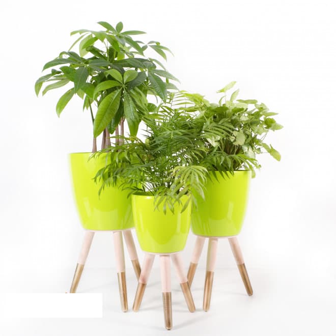 Drveni zlatno-beli stalak sa svetlo zelenom saksijom 30cm