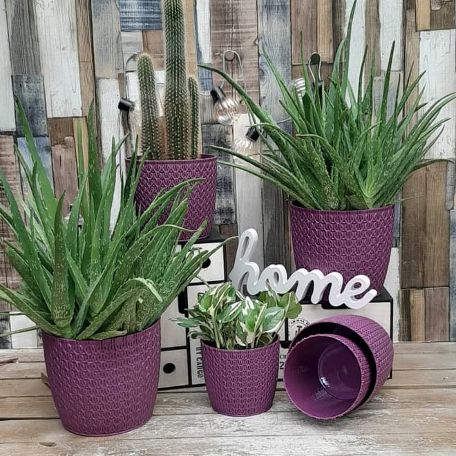 Komplet saksija Knitty lavanda